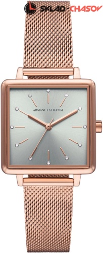   Armani Exchange AX5806 